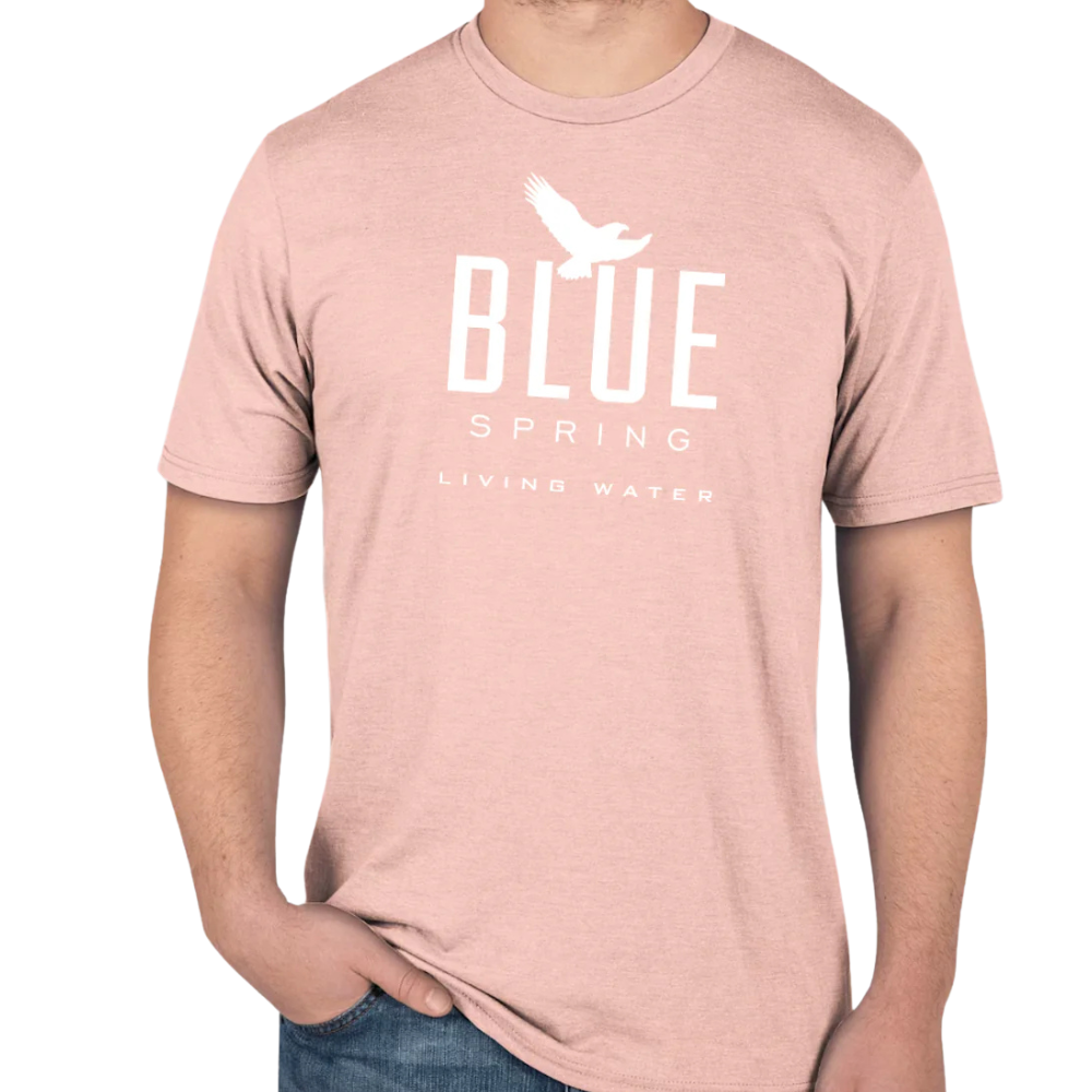 Blue Spring Tee