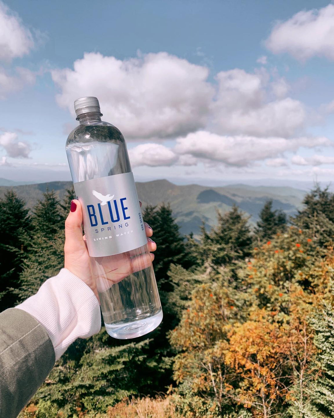 Choosing the Best Water to Drink Long Term