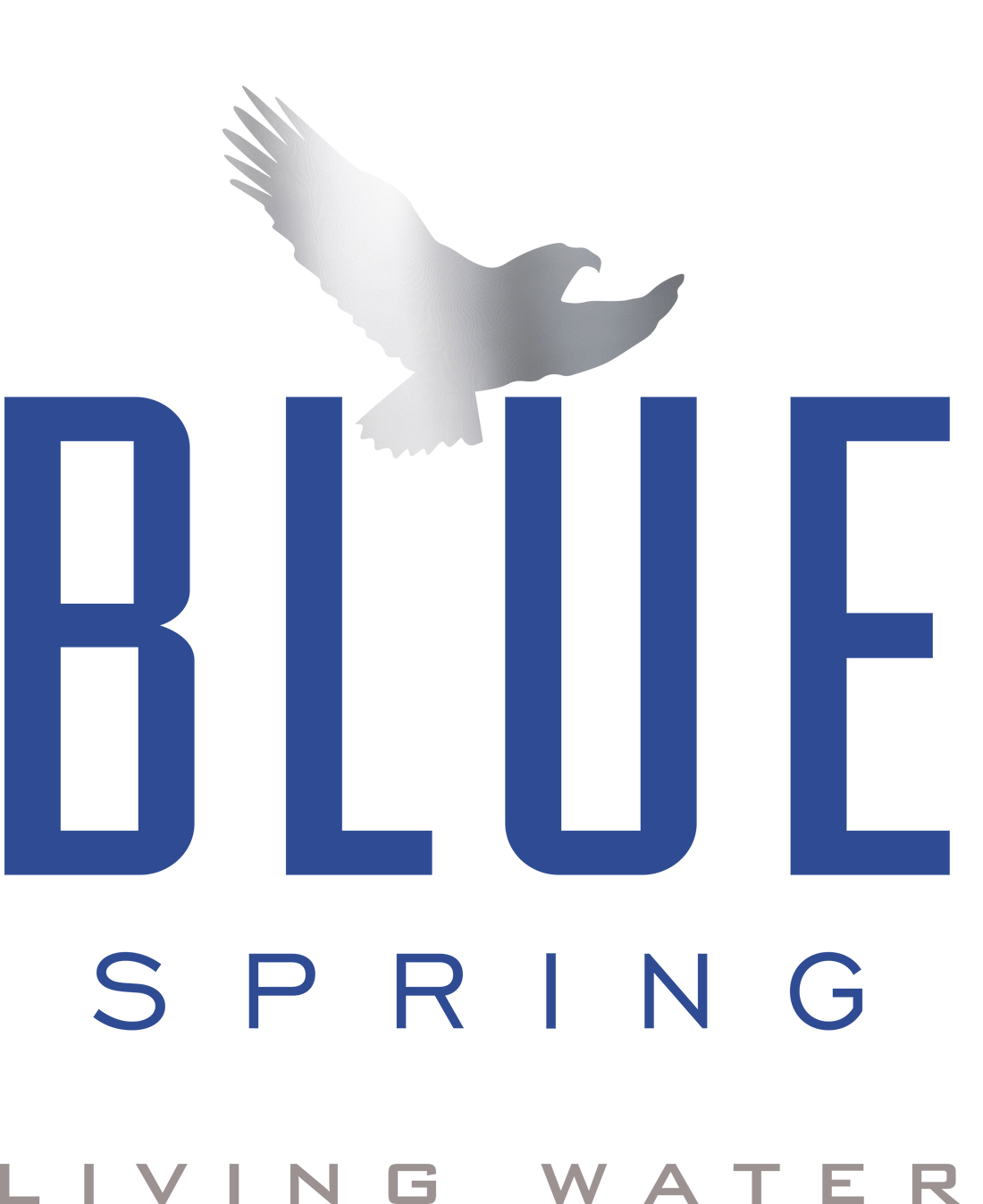 Oxygen Water & Athletic Performance: The Competitive Edge Powered by Blue Spring