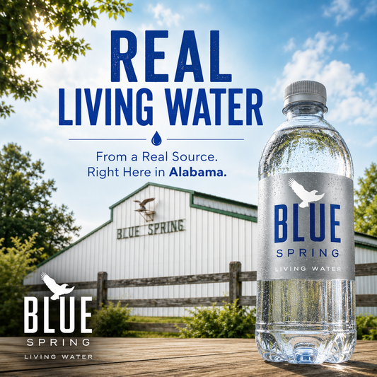 What Is Living Water? A Complete Guide to Natural Spring Water
