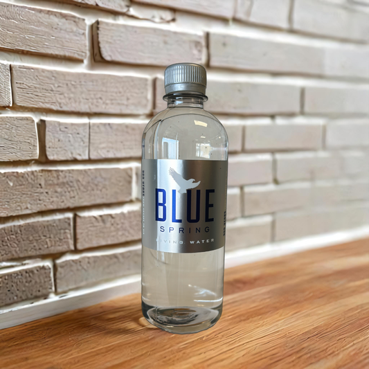 Best Spring Water in the United States
