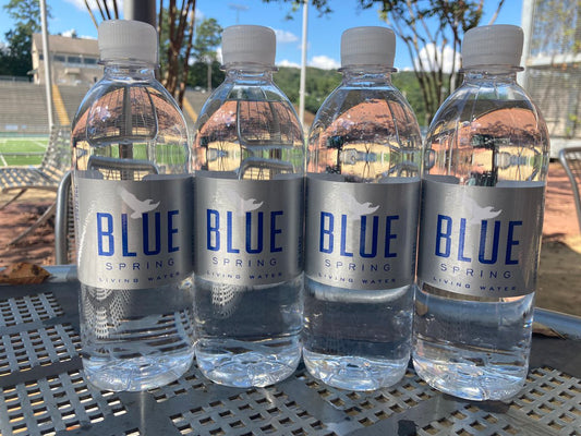 best bottled water to drink 