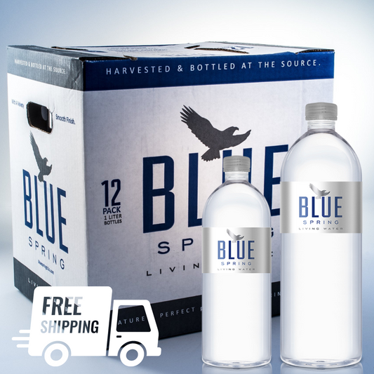 Blue Spring Living Water: The Anti-inflammatory Properties of Silica