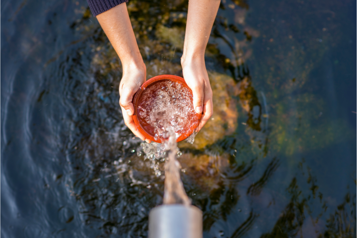 Best Spring Water for Daily Hydration: What Sets Premium Sources Apart ...