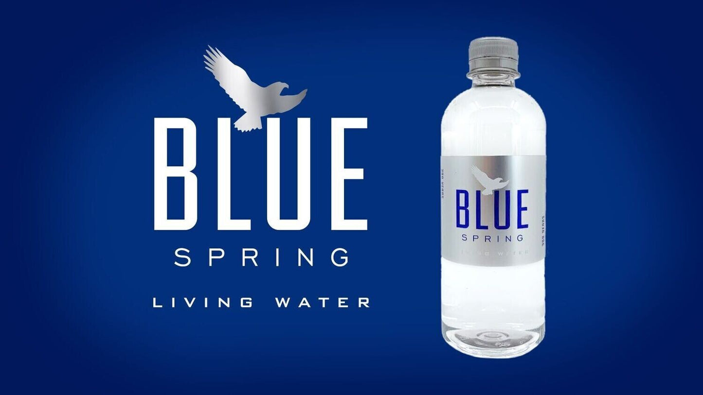 Blue Spring Living Water 500ml 12-Pack