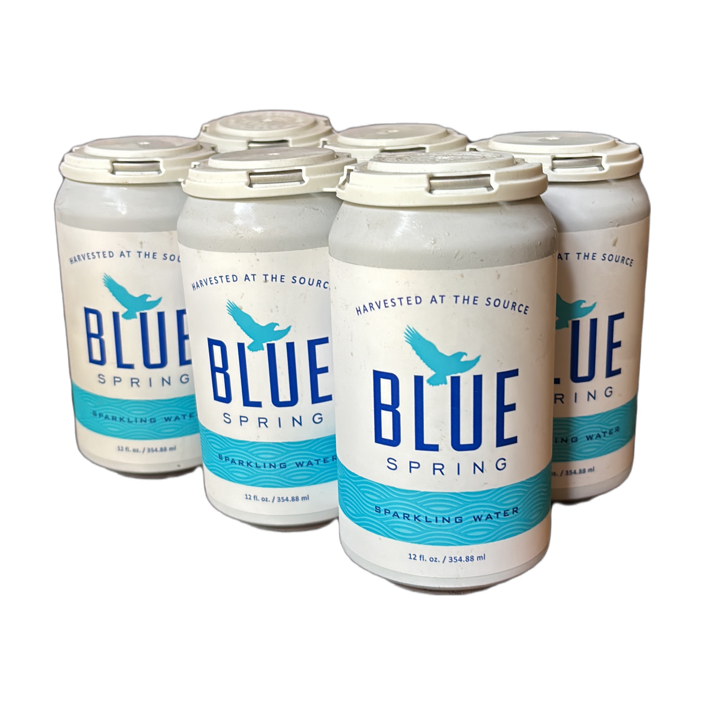 Harvested at the Source- Blue Spring Sparkling Water 