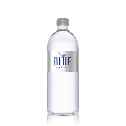 Blue Spring Living Water 16.9oz 12-Pack