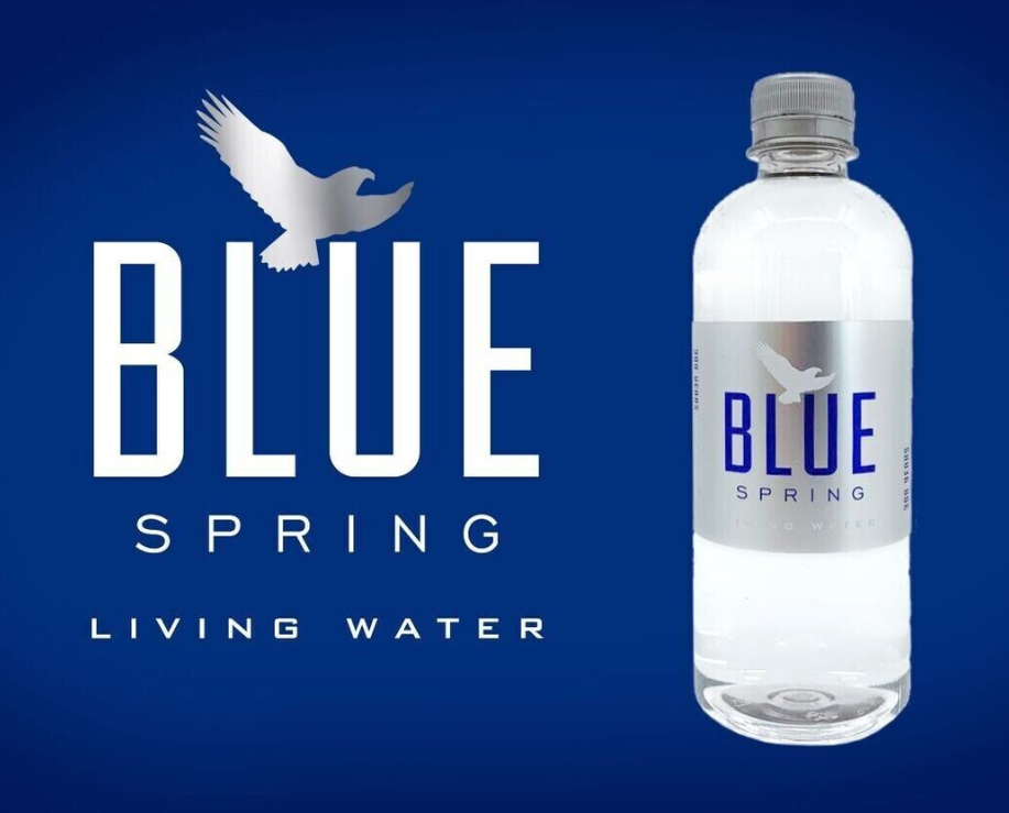 Blue Spring Living Water 16.9oz 12-Pack