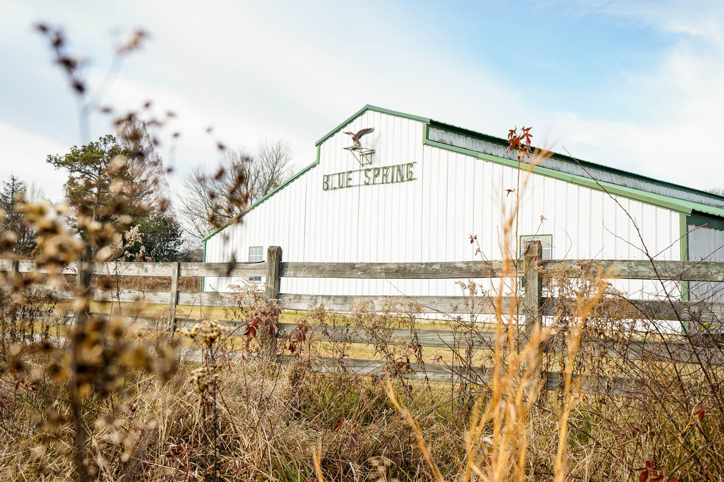 Picture of Blue Spring Building - Home of Blue Spring Living Water 