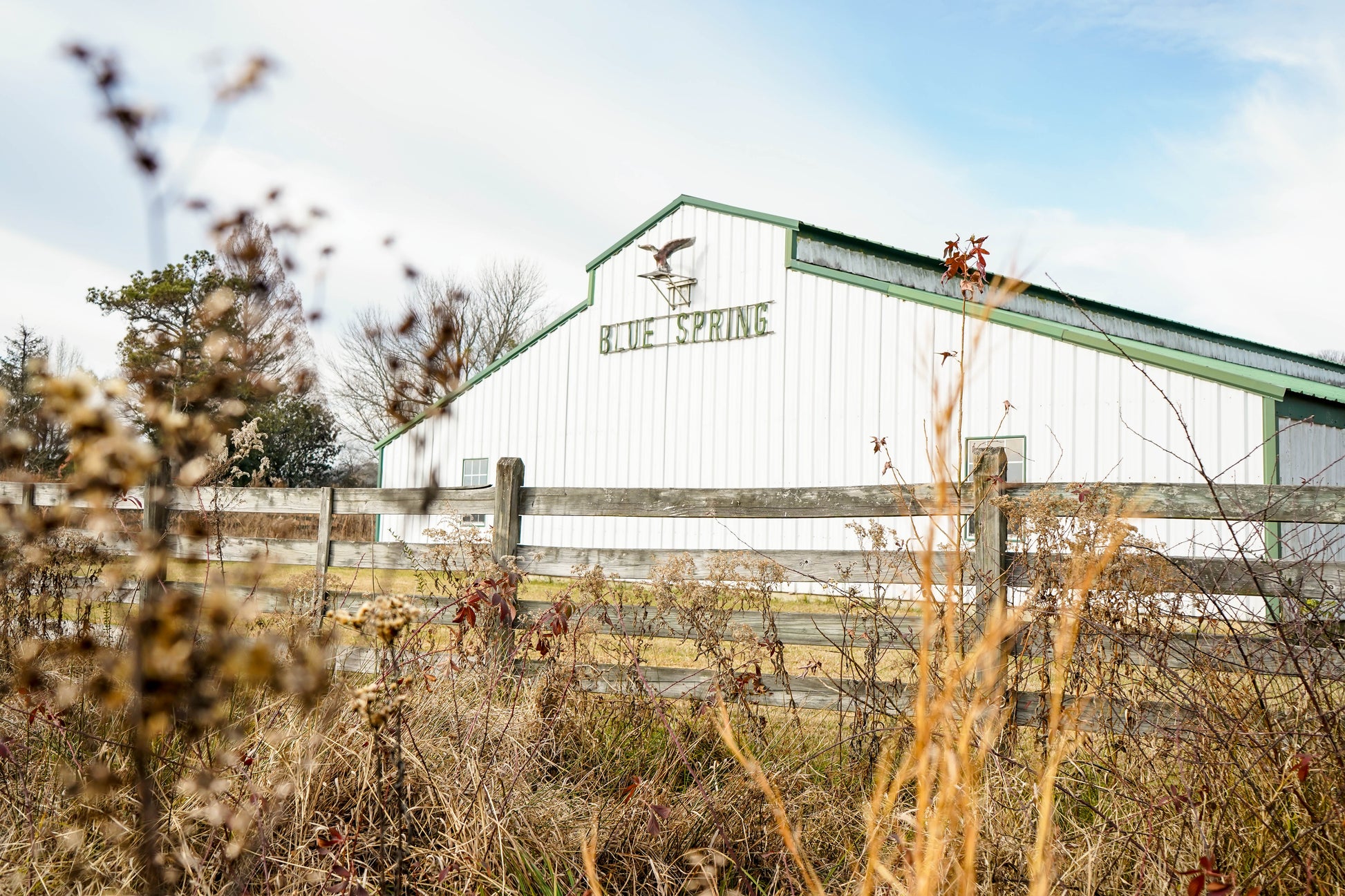 Picture of Blue Spring Building - Home of Blue Spring Living Water 