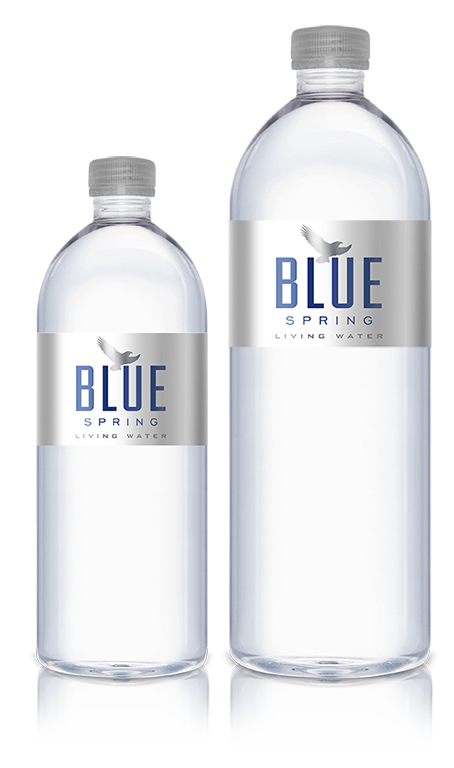 Blue Spring Living Water 1 Liter 12-Pack